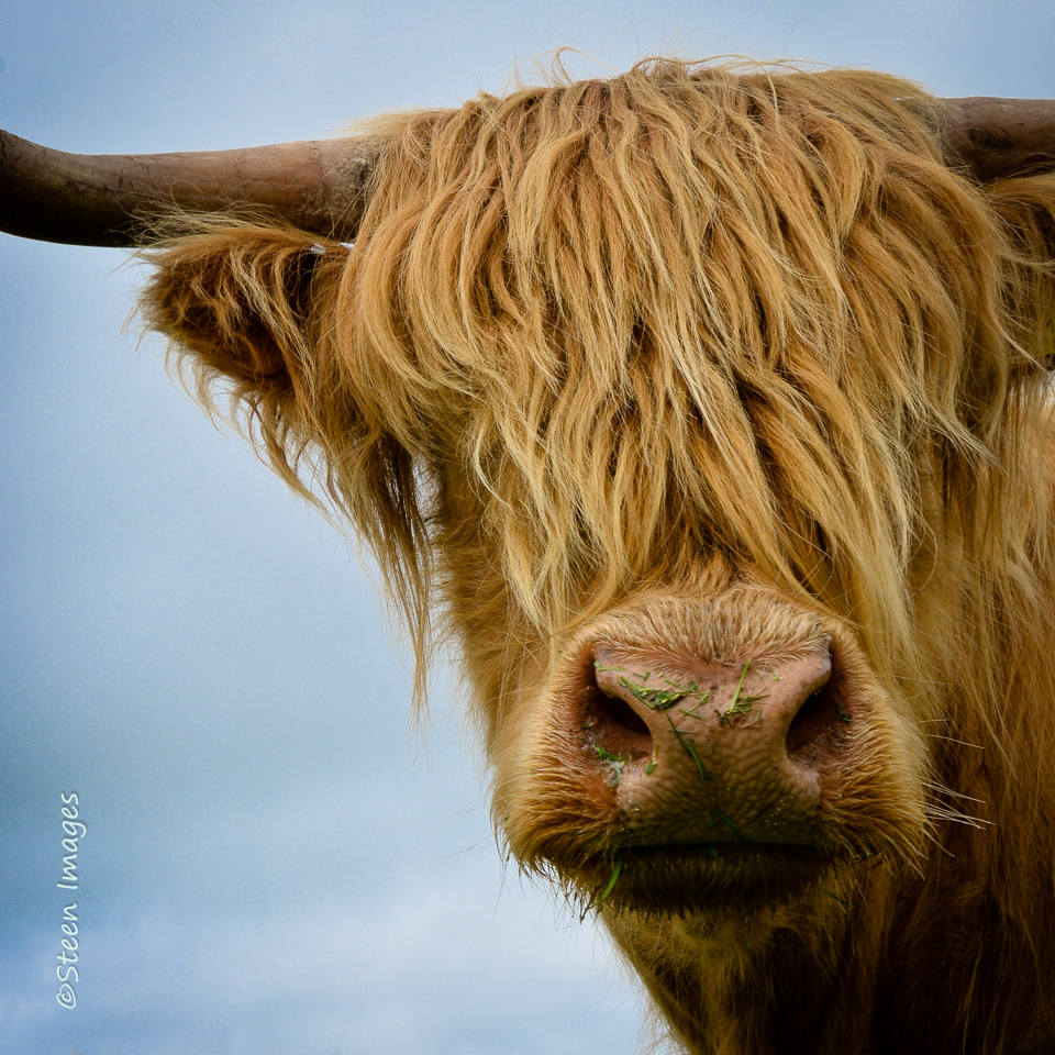 2015, Islay, Places